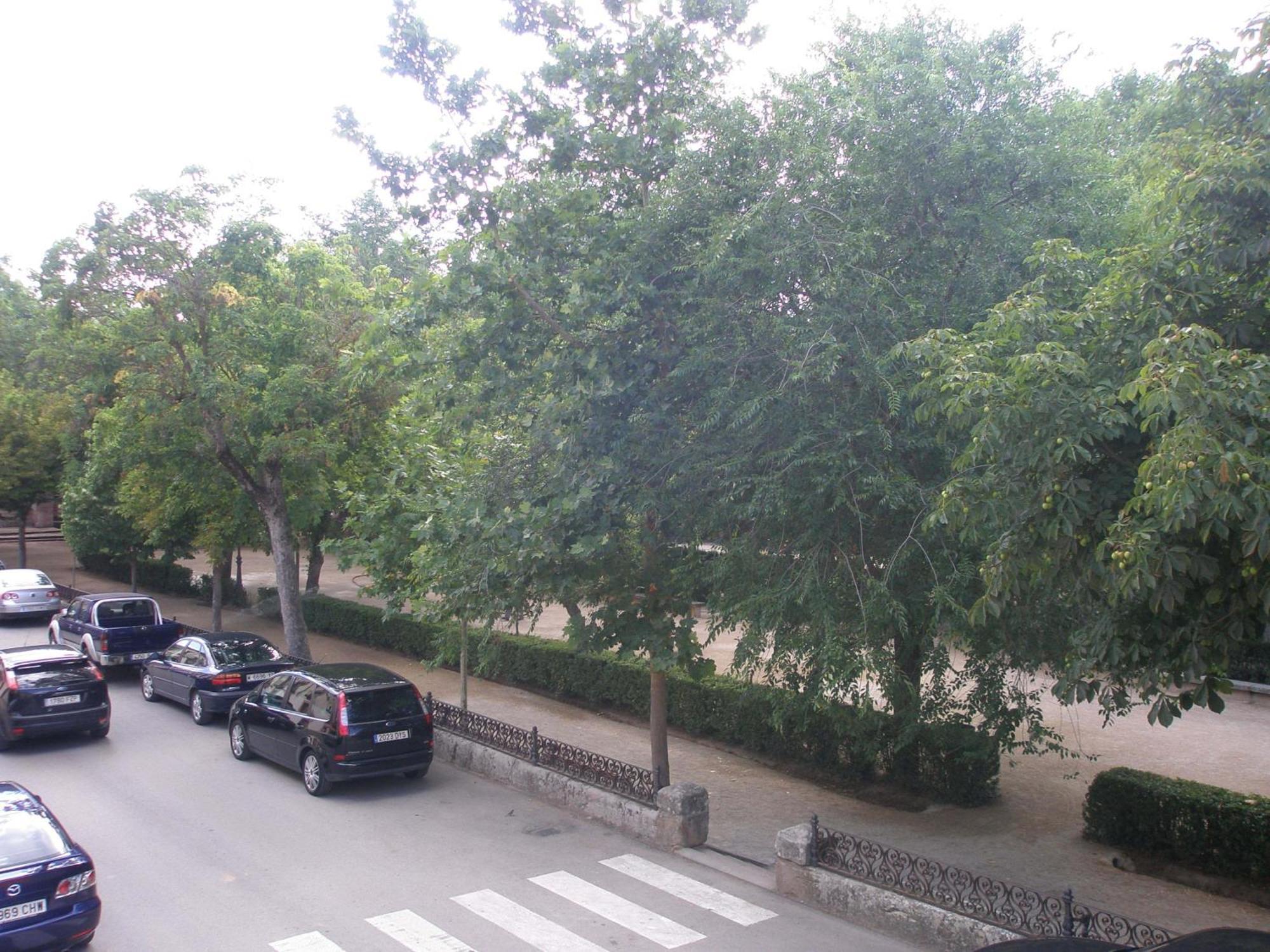 Alameda